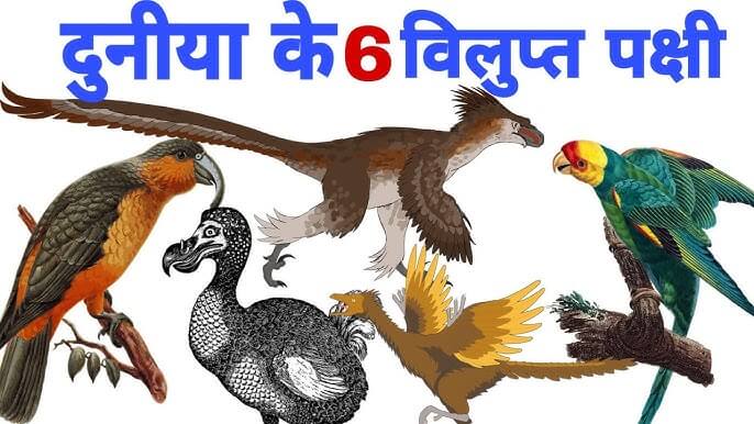 दुनिया के कुछ विलुप्त पक्षी | Extinct Birds Facts in Hindi