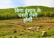 Earth without Humans in Hindi | क्या होगा पृथ्वी का अगर इंसान चले जाए?