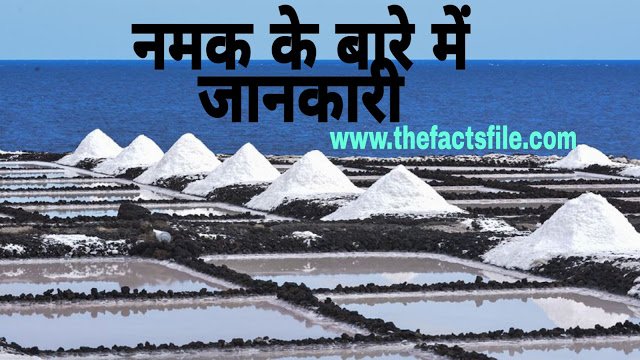 Amazing Facts about Salt in Hindi - नामक के बारे में पूरी जानकारी