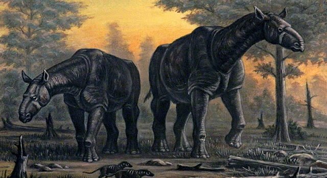 Paraceratherium : The largest Mammal ever | Paraceratherium के बारे में 14 रोचक तथ्य