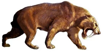 Amazing Facts and Information about Smilodon Tiger in Hindi