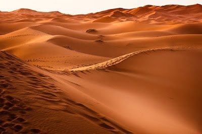 रेगिस्तान के बारे में जानकारी और रोचक तथ्य - Interesting Facts about Desert in Hindi