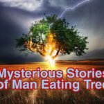 Mysterious stories of man eating trees | इंसान को खाने वाले पेड़ो की अनसुनी कहानी