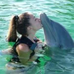 Amazing facts about Dolphin in Hindi - डॉल्फिन के बारे में रोचक तथ्य