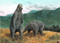10 Facts about Giant Ground Sloth in Hindi | मेगाथेरियम या जायंट ग्राउंड स्लोथ के बारे में रोचक तथ्य