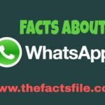 WhatsApp Facts in Hindi - WhatsApp के बारे में 20 रोचक तथ्य