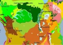 Information about Congo RainForest in Hindi | यह है दुनिया दूसरा का सबसे बड़ा जंगल