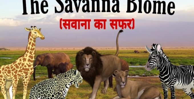 African savanna in Hindi