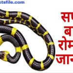 Facts about Snakes in Hindi - सांप के बारे में 21 मजेदार तथ्य