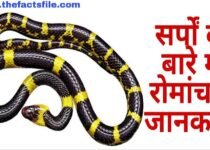 Facts about Snakes in Hindi - सांप के बारे में 21 मजेदार तथ्य