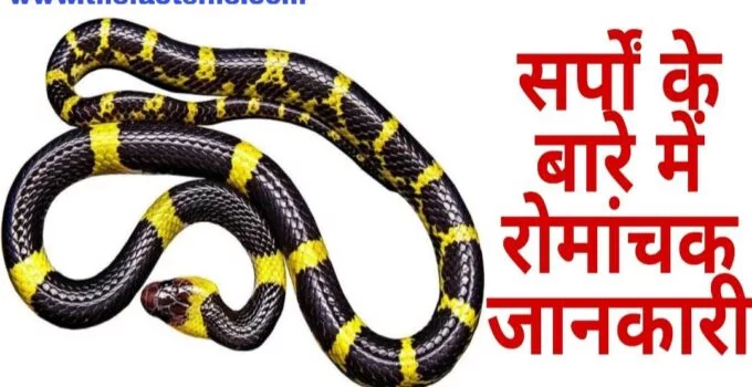 Facts about Snakes in Hindi - सांप के बारे में 21 मजेदार तथ्य