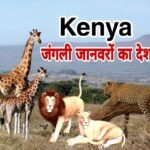 Facts and Information about Kenya in Hindi - केन्या देश के बारे में 15 मजेदार तथ्य