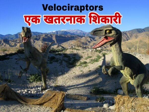 वेलोसिरैप्टर्स के बारे में रोचक तथ्य | Facts about Velociraptors in Hindi