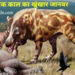 Andrewsarchus - Largest Predatory Mammal in Hindi | Prehistoric animal