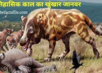 Andrewsarchus - Largest Predatory Mammal in Hindi | Prehistoric animal